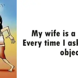 My wife is a sex object. Every time I ask for sex she objects.
