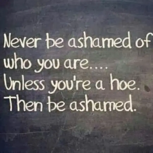 Never be ashamed of who you are.. Unless you're a hoe. Then be ashamed