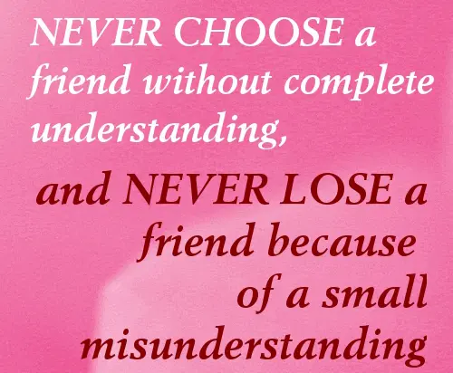 Never choose a friend without complete understanding, and never lose a friend because of a small misunderstanding