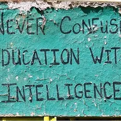 Never confuse education with intelligence