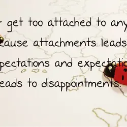 Never get too attached to anyone because attachments leads to expectations and expectations leads to...