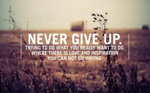 Never give up. Trying to do what you really want to do. Where there is love and inspiration you can not go wrong
