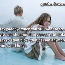 Never say goodbye when you still want to try. Never give up when you feel...