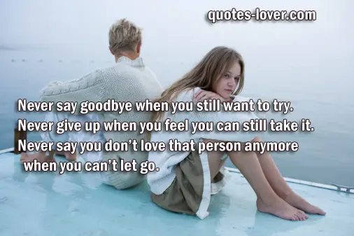  Never say goodbye when you still want to try. Never give up when you feel you can still take it. Never say you don’t love that person anymore when you can’t let go.