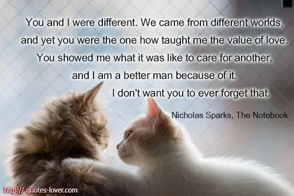 You and I were different. We came from different worlds, and yet you were the one how taught me the value of love. You showed me what it was like to care for another, and I am a better man because of it. I don't want you to ever forget that.