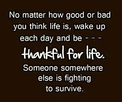 No matter how good or bad you think life is, wake up each day and be thankful for life. Someone somewhere else is fighting to survive.