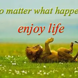 No matter what happens, enjoy life