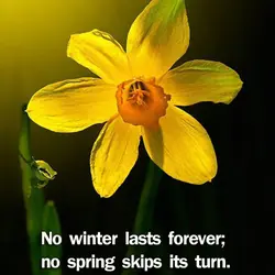 No winter lasts forever; no spring skips its turn.