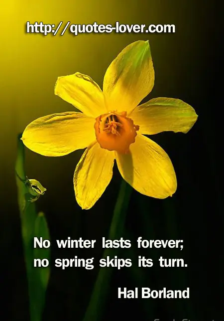 No winter lasts forever; no spring skips its turn.