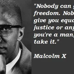 Nobody can give you freedom. Nobody can give you equality or justice or anything. If...