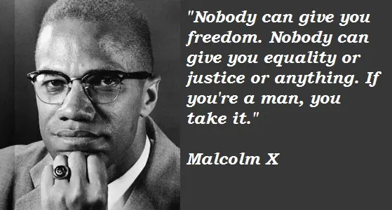 Nobody can give you freedom. Nobody can give you equality or justice or anything. If you're a man, you take it.