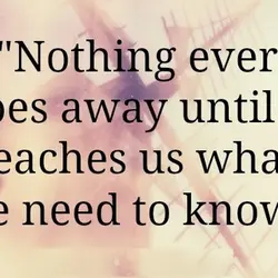 Nothing ever goes away until it teaches us what we need to know