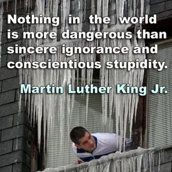 Nothing in the world is more dangerous than sincere ignorance and conscientious stupidity.