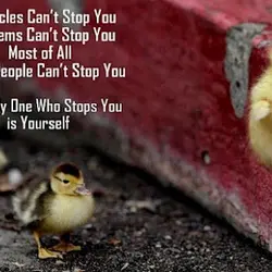 Obstacles can't stop you. Problems can't stop you. Most of all other people can't stop...