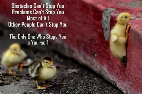 Obstacles can't stop you. Problems can't stop you. Most of all other people can't stop you. The only one who stops you is yourself.