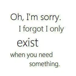 Oh, I'm sorry I forgot I only exist when you need something