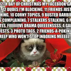 On the 12th of Christmas my Facebook gave to me, 12 dudes I'm blocking, 11...