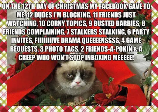 On the 12th of Christmas my Facebook gave to me, 12 dudes I'm blocking, 11 friends just watching, 10 corny topics, 9 busted barbies, 8 friends complaining, 7 stalkers stalking, 6 party invites, fiiive drama queeensss, 4 game requests, 3 photo tags, 2 friends-a-pokin & a creep who won't stop inboxing me!