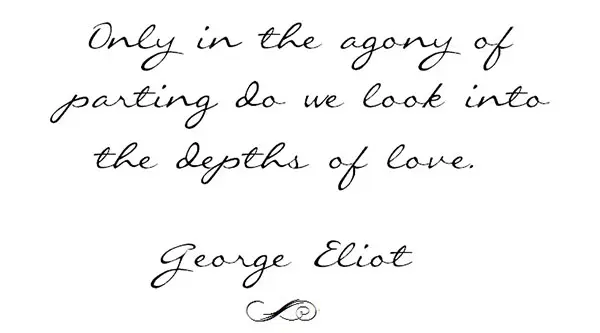 Only in the agony of parting do we look into the depths of love.