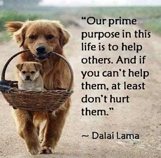 Our prime purpose in this life is to help others. And if you can't help, at least don't hurt them 