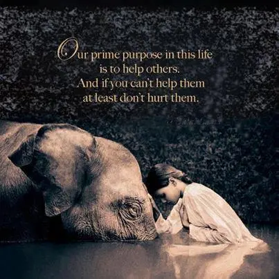 Our prime purpose in this life is to help others. And if you can't help them at least don't hurt them.