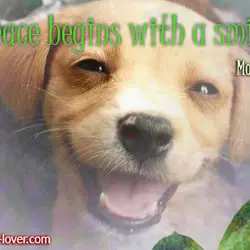 Peace begins with a smile..