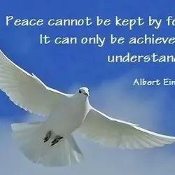 Peace cannot be kept by force. It can only be achieved by understanding.