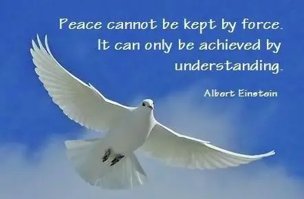 Peace cannot be kept by force. It can only be achieved by understanding. 