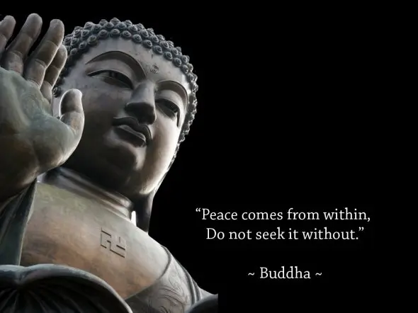 Peace comes from within, do not seek it without 