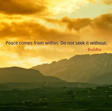 Peace comes from within. Do not seek it without