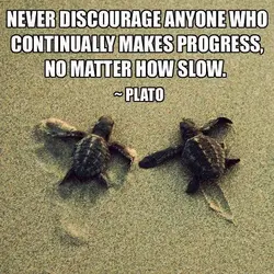 Never discourage anyone who continually makes progress, no matter how slow.