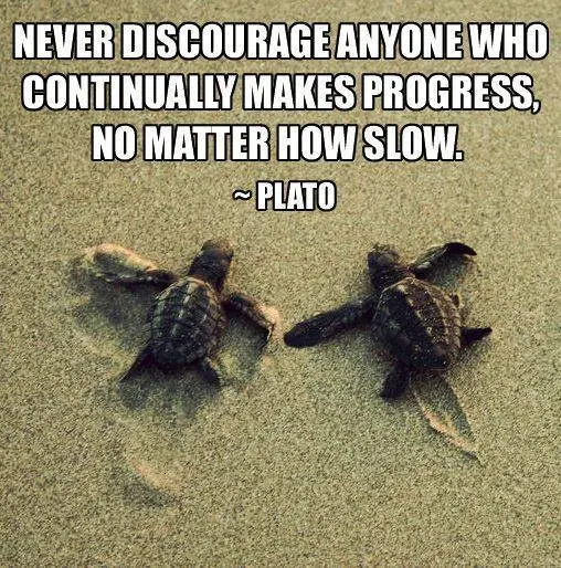 Never discourage anyone who continually makes progress, no matter how slow.