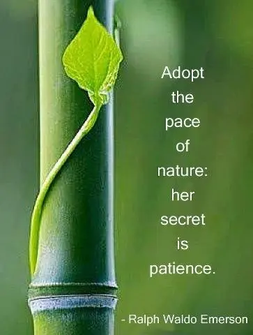 Adopt the pace of nature - her secret is patience.