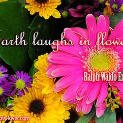 Earth Laughs In Flowers