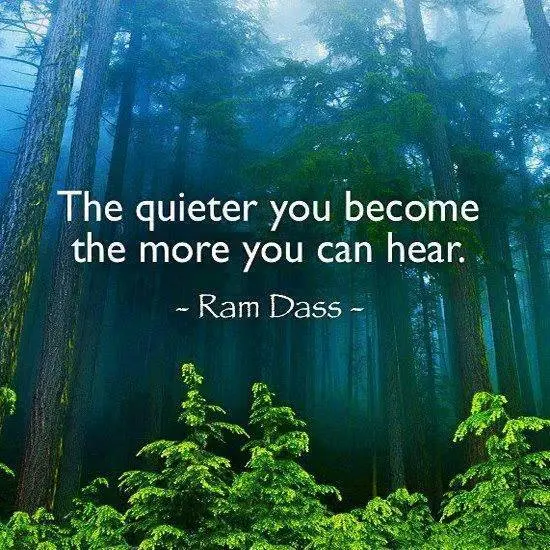 The quieter you become the more you can hear.