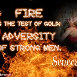 Fire is the test of gold adversity of strong men