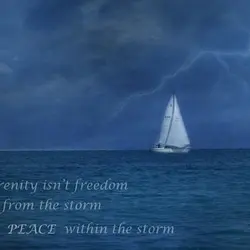 Serenity isn't freedom from the storm, It is peace within the storm