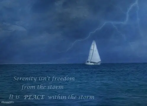 Serenity isn't freedom from the storm, It is peace within the storm