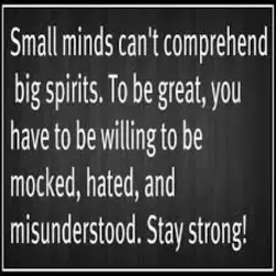 Small minds can't comprehend big spirits. To be great, you have to be willing to...