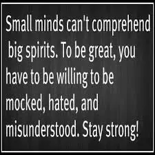 Small minds can't comprehend big spirits. To be great, you have to be willing to be mocked, hated, and misunderstood. Stay strong!