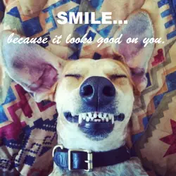 Smile.. because it looks good on you
