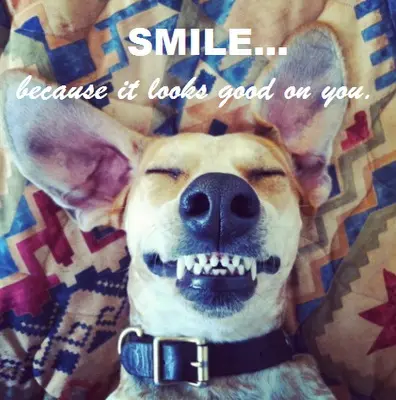 Smile.. because it looks good on you