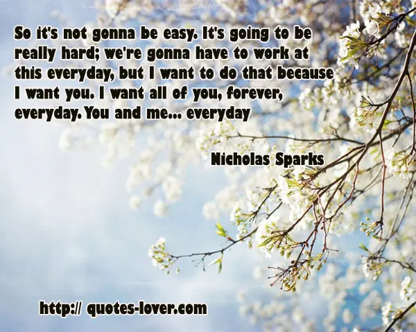 So it's not gonna be easy. It's going to be really hard; we're gonna have to work at this everyday, but I want to do that because I want you. I want all of you, forever, everyday. You and me... everyday