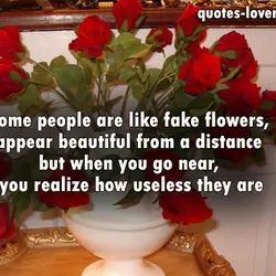 Some people are like fake flowers, appear beautiful from a distance but when you go...