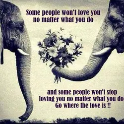 Some people won't love you no matter what you do and some people won't stop...