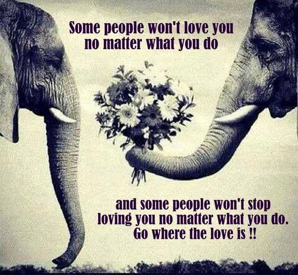 Some people won't love you no matter what you do and some people won't stop loving you no matter what you do. Go where the love is!!