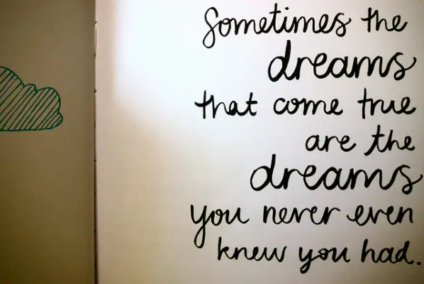 Sometimes the dreams that come true are the dreams you never even knew you had.