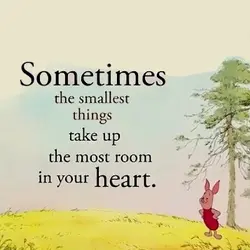 Sometimes the smallest things take up the most room in your heart