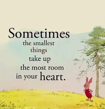 Sometimes the smallest things take up the most room in your heart