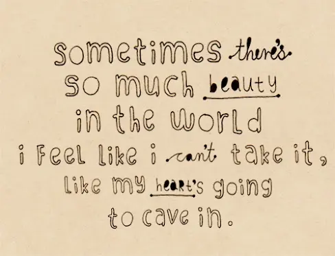 Sometimes there's so much beauty in the world I feel like I can't take it, like my heart's going to cave in
